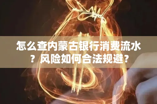 怎么查内蒙古银行消费流水?风险如何合法规避?