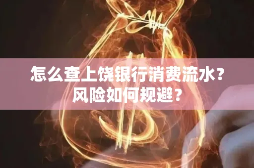 怎么查上饶银行消费流水?风险如何规避?