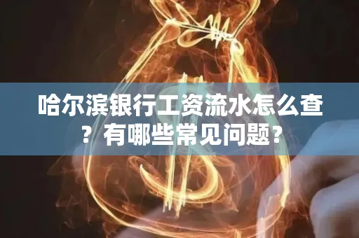 哈尔滨银行工资流水怎么查?有哪些常见问题?